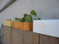 /album/fotogaleria1/p1030952-jpg/